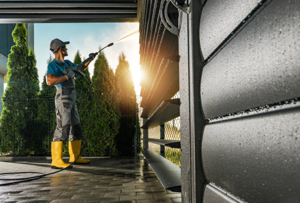 Best Animal Enclosure Cleaning  in Dewitt, MI