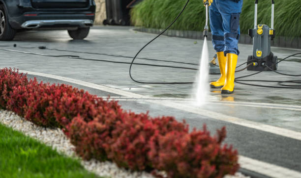 Best Dumpster Area Cleaning  in Dewitt, MI